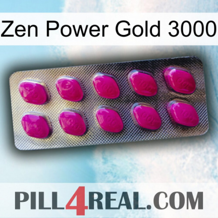 Zen Power Gold 3000 09